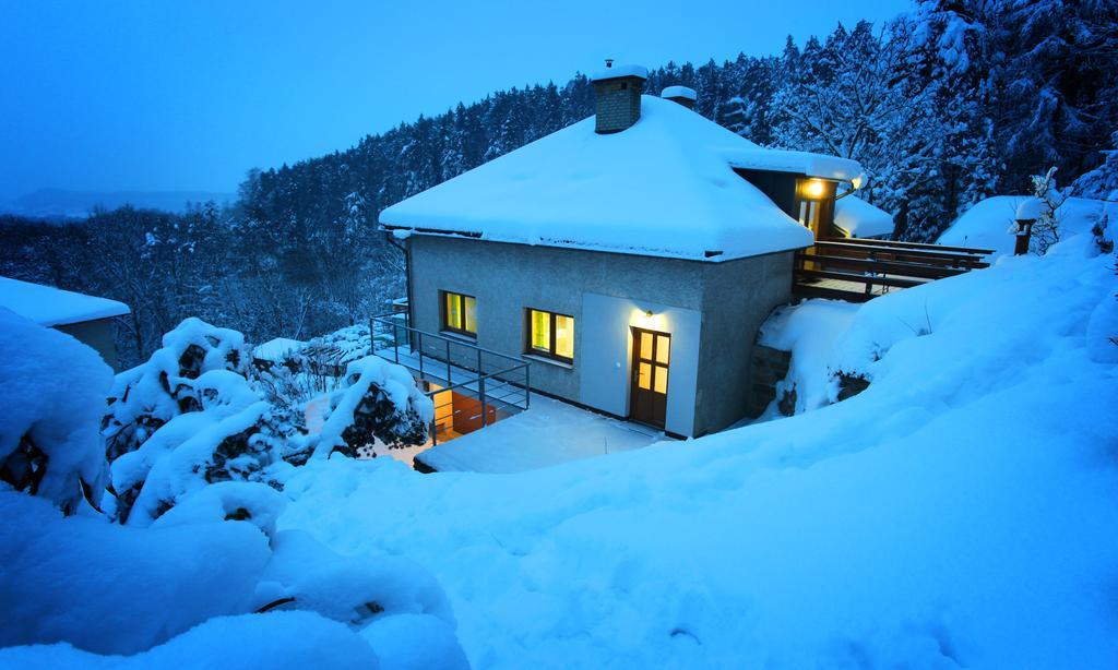 Pod Skalou Apartment Besedice